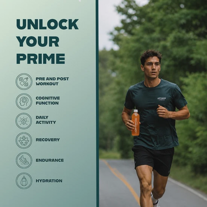 Optimize Hydration +